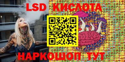 ешки Сланцы
